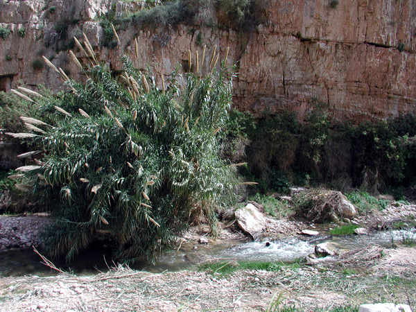 018_ein_mabua_region_2005mar08_P1010100