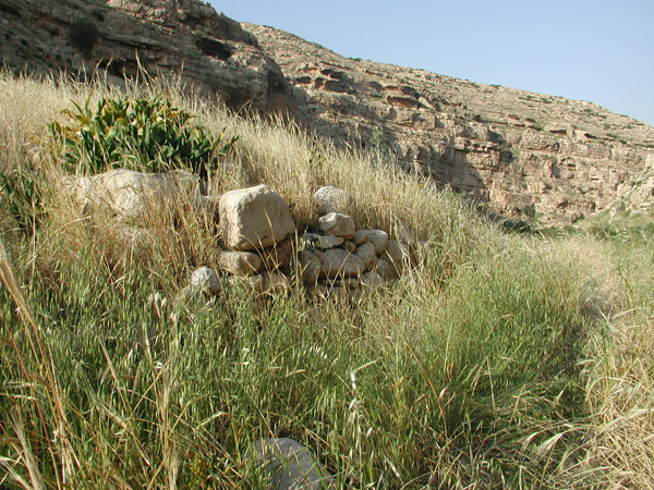 049_ein_mabua_lower_terrace.jpg