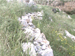 033_agricultural_terrace_ein_mabua