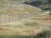 043_alon_junction_harvest_ripe_barley_2005mar27_2