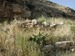 045_ein_mabua_upper_terrace